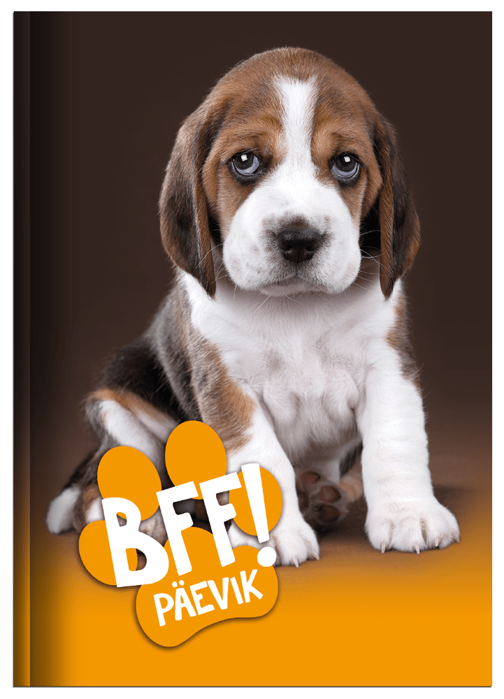 paevik-bff_1